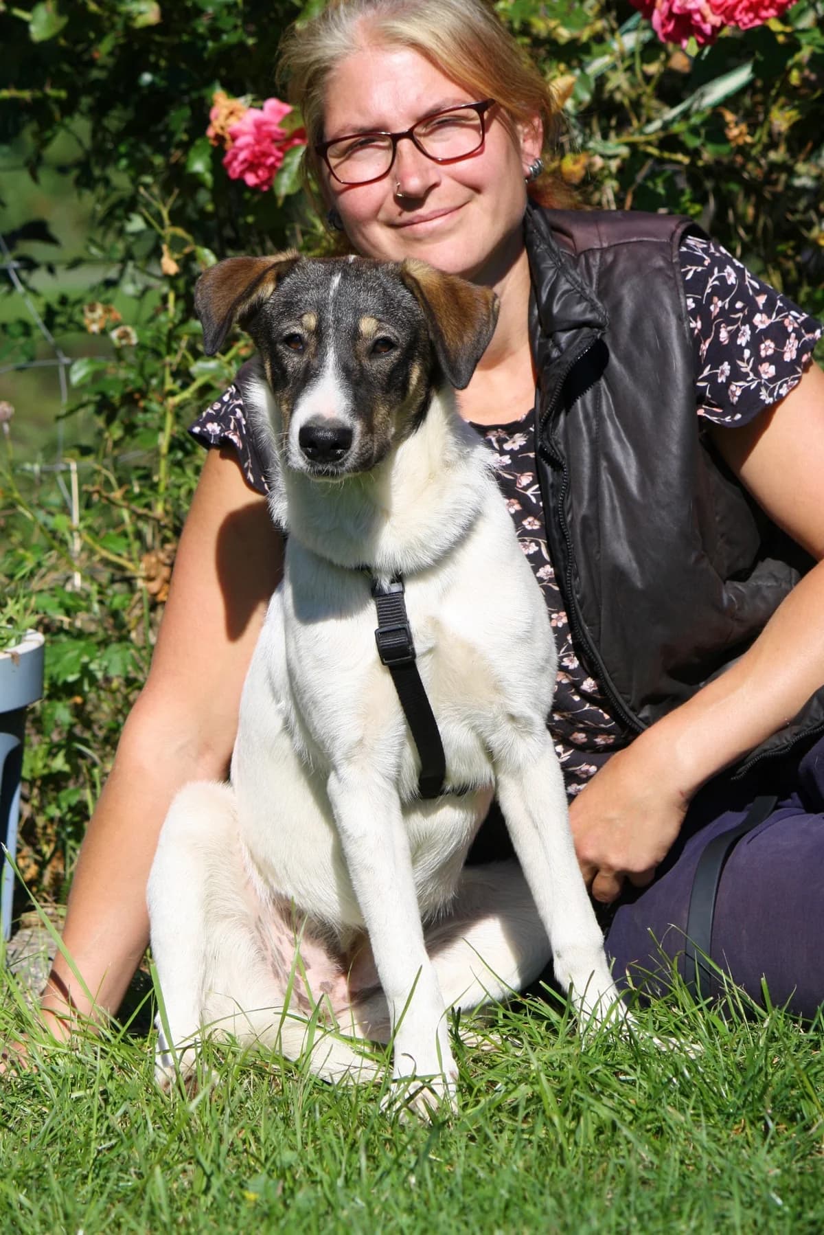 Nelly, female young Mixed Breed for adoption at Tierheim Herzsprung