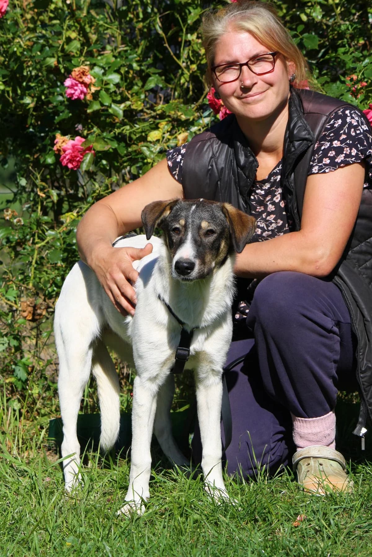 Nelly, female Mixed Breed for adoption at Tierheim Herzsprung — photo 7 of 12