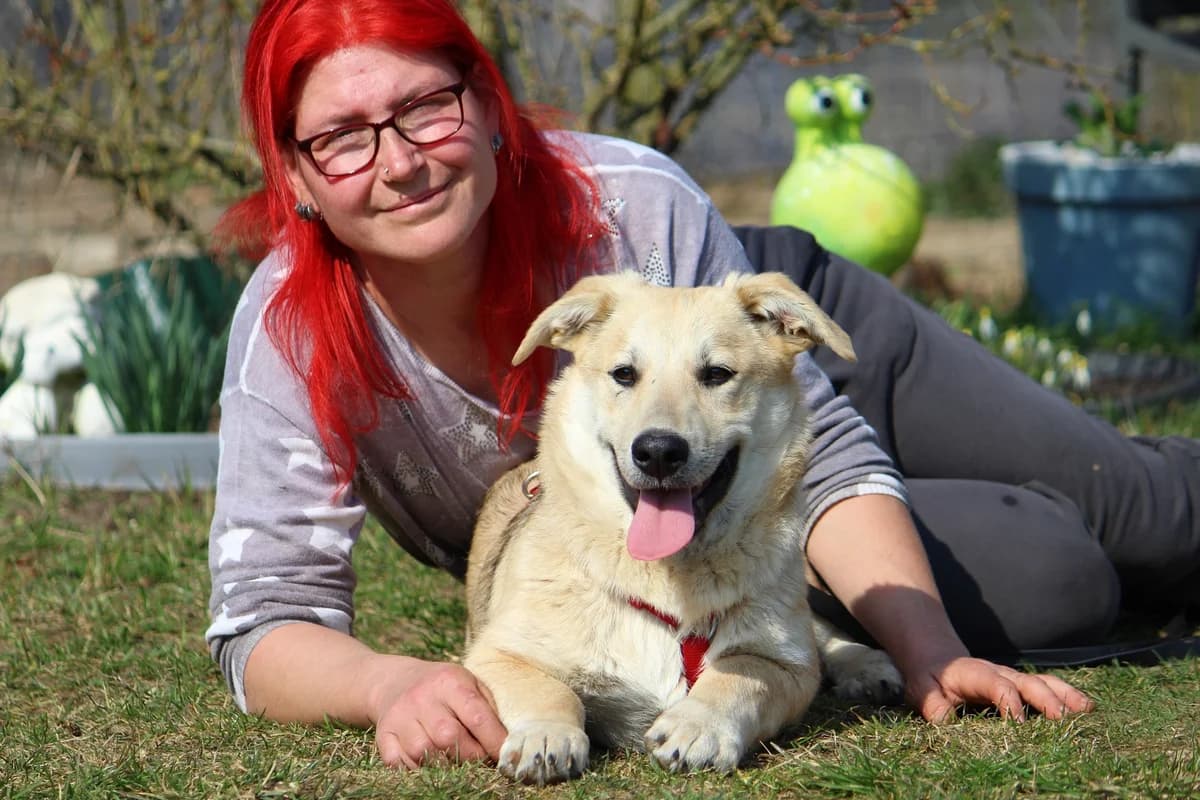Sammy, male Mixed Breed for adoption at Tierheim Herzsprung — photo 2 of 11