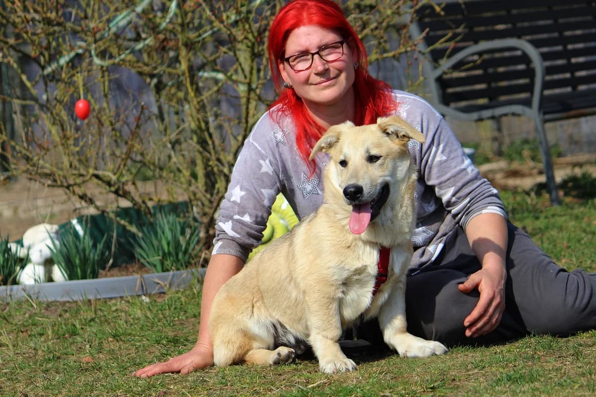 Sammy, male Mixed Breed for adoption at Tierheim Herzsprung — photo 7 of 11
