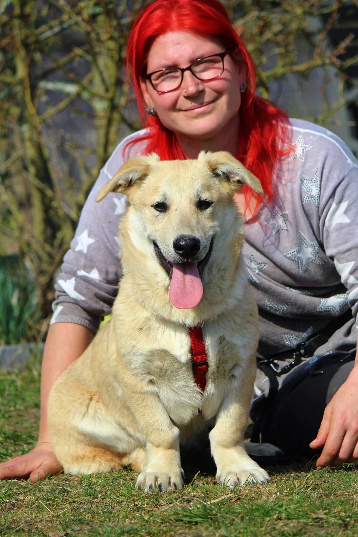Sammy, male Mixed Breed for adoption at Tierheim Herzsprung — photo 8 of 11