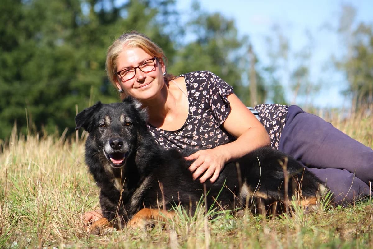 Simon, male Mixed Breed for adoption at Tierheim Herzsprung — photo 6 of 14