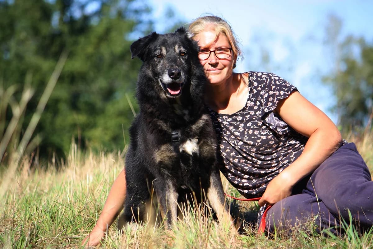 Simon, male Mixed Breed for adoption at Tierheim Herzsprung — photo 8 of 14