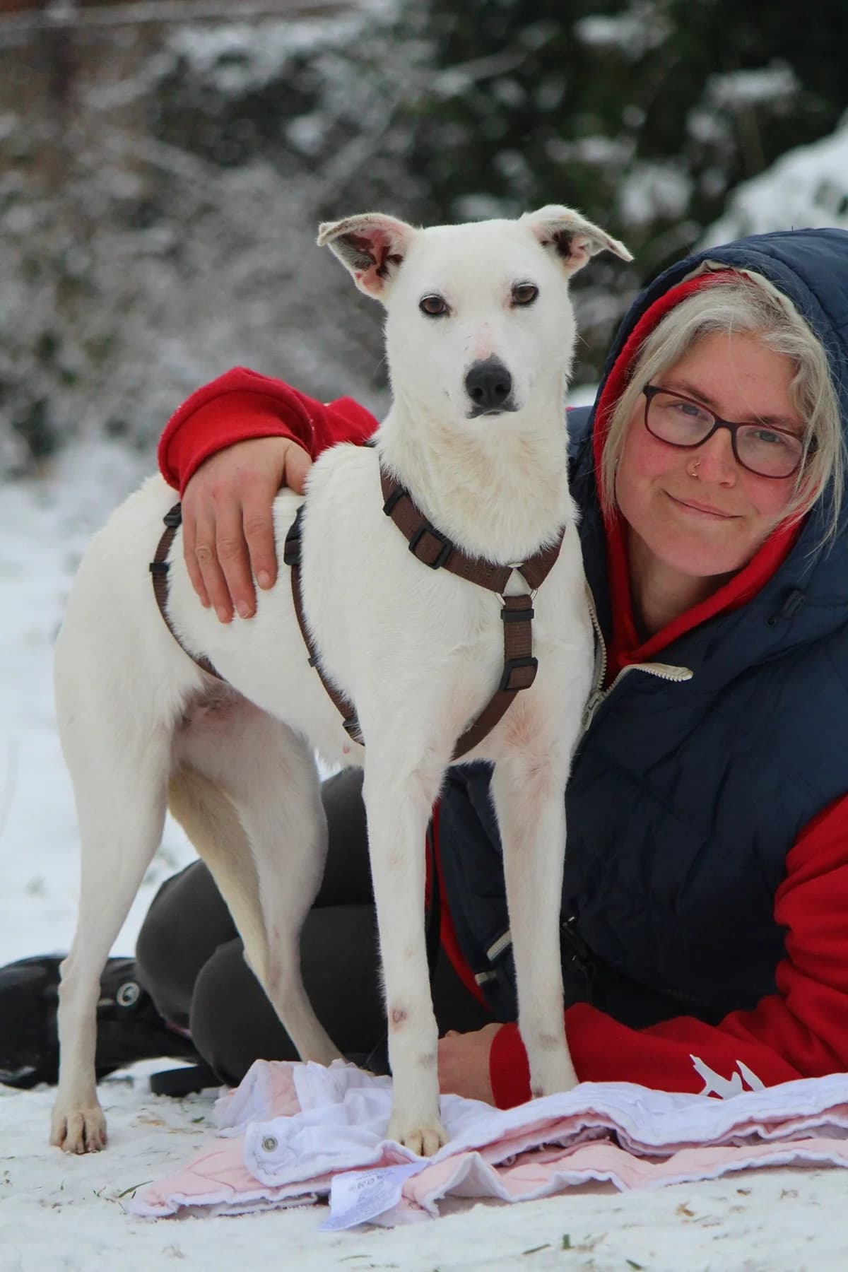 Stella, female Mixed Breed for adoption at Tierheim Herzsprung — photo 2 of 13