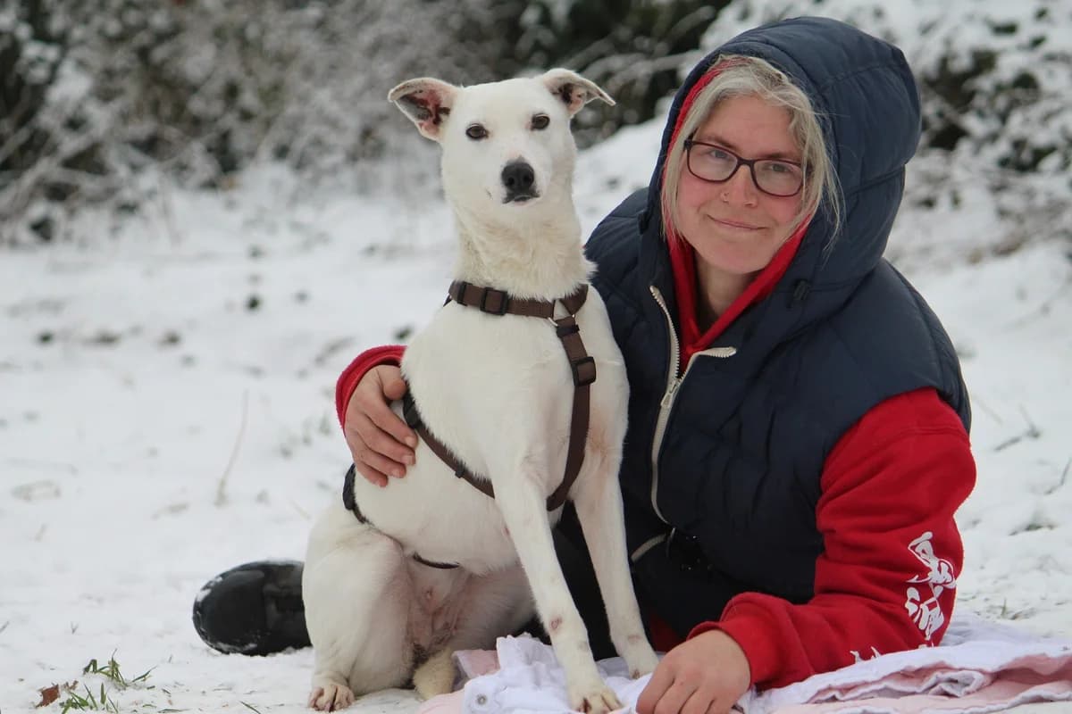 Stella, female Mixed Breed for adoption at Tierheim Herzsprung — photo 7 of 13