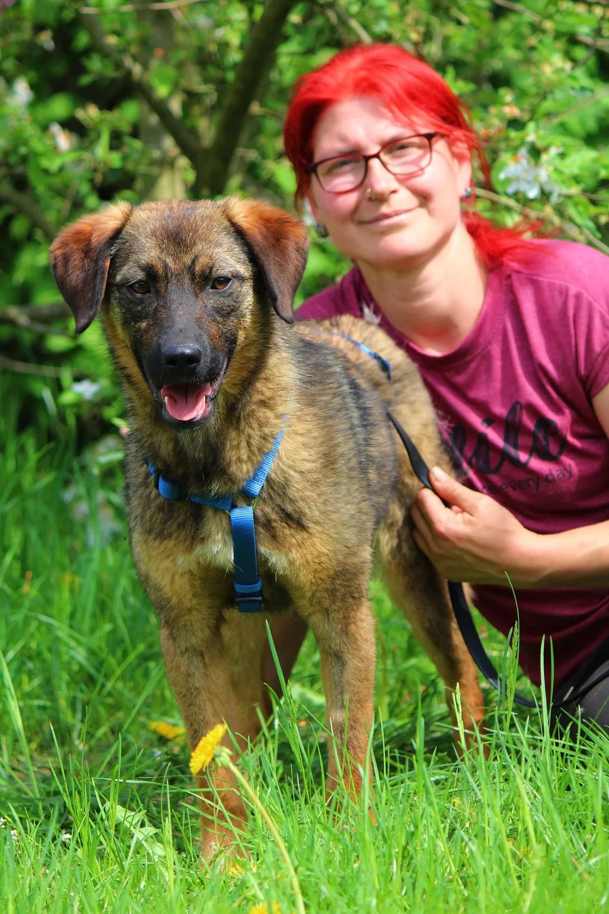 Tala, female young Mixed Breed for adoption at Tierheim Herzsprung