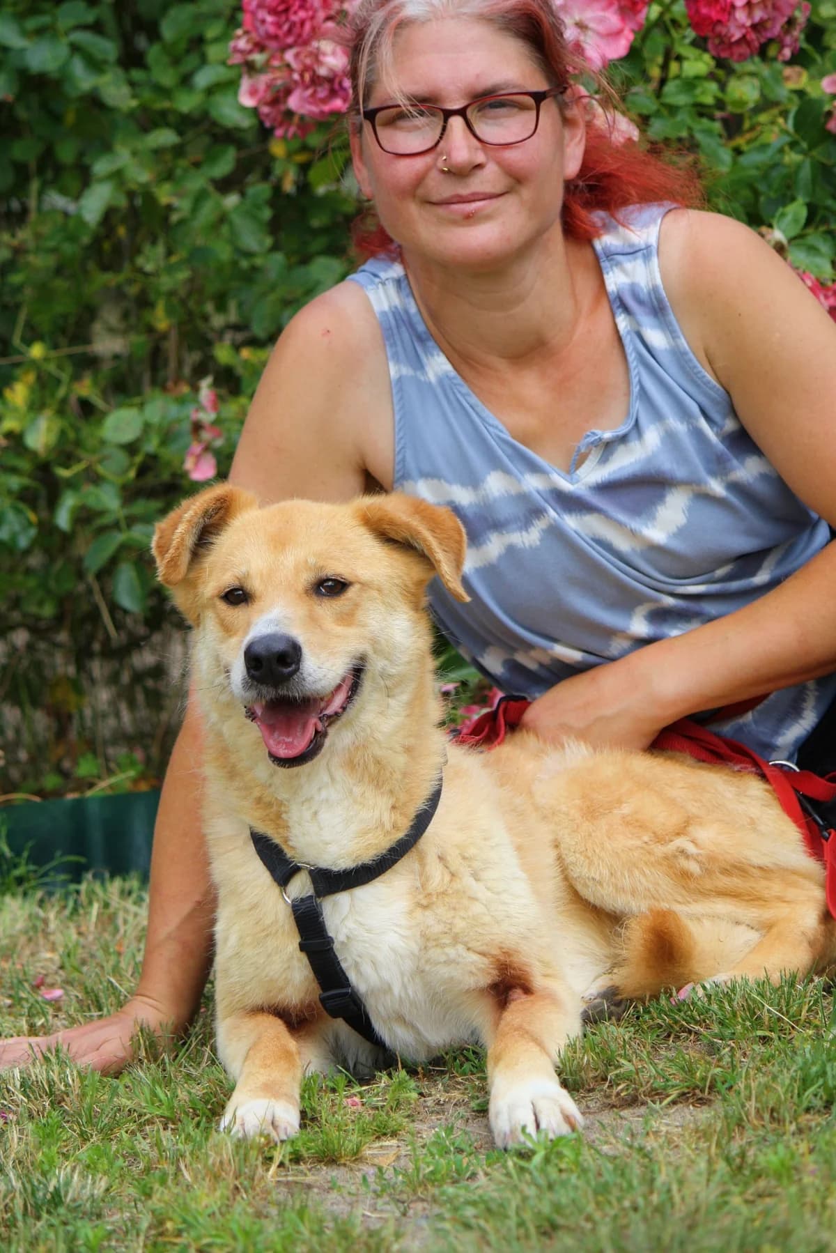 Tammi, female Mixed Breed for adoption at Tierheim Herzsprung — photo 3 of 11