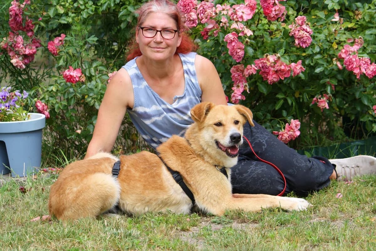 Tammi, female Mixed Breed for adoption at Tierheim Herzsprung — photo 5 of 11