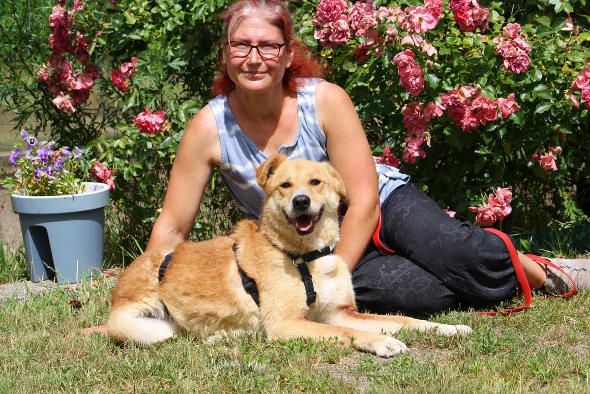 Tammi, female Mixed Breed for adoption at Tierheim Herzsprung — photo 6 of 11