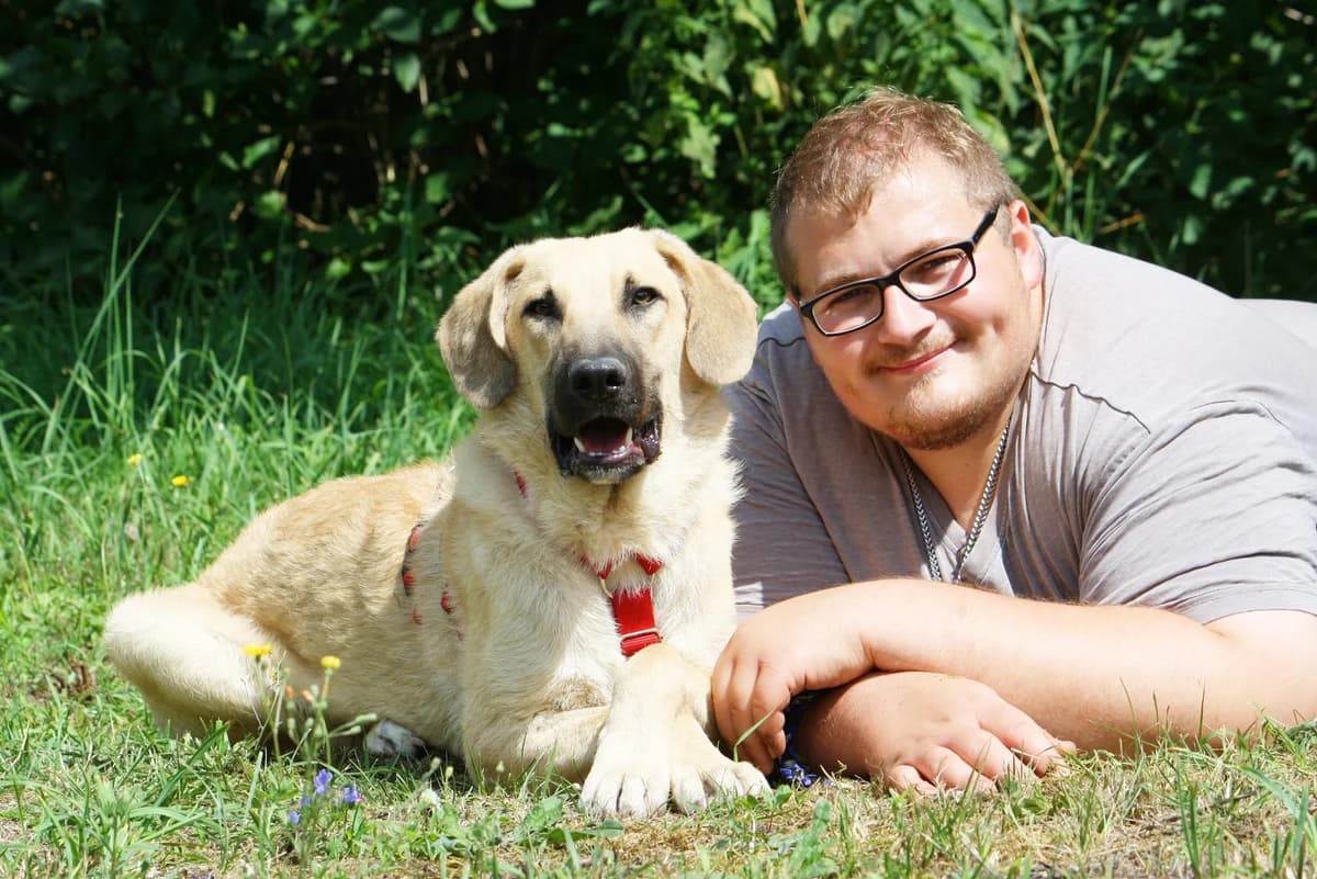 Teo, male Mixed Breed for adoption at Tierheim Herzsprung — photo 2 of 12