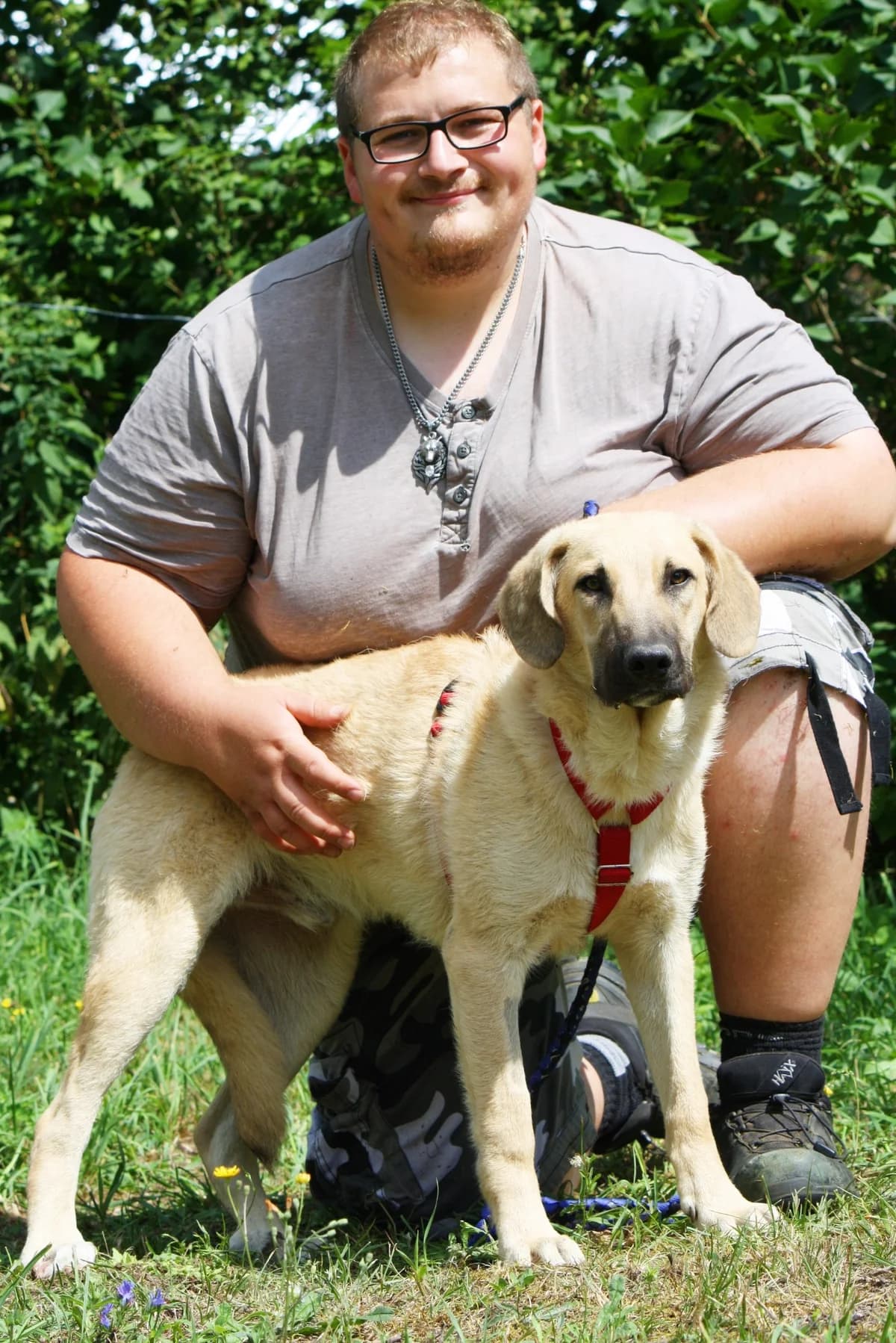 Teo, male Mixed Breed for adoption at Tierheim Herzsprung — photo 5 of 12