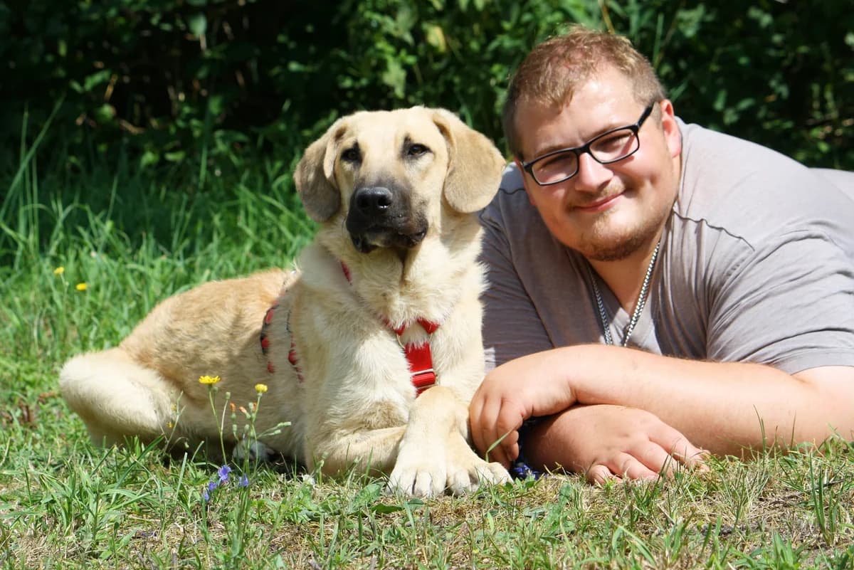Teo, male Mixed Breed for adoption at Tierheim Herzsprung — photo 6 of 12
