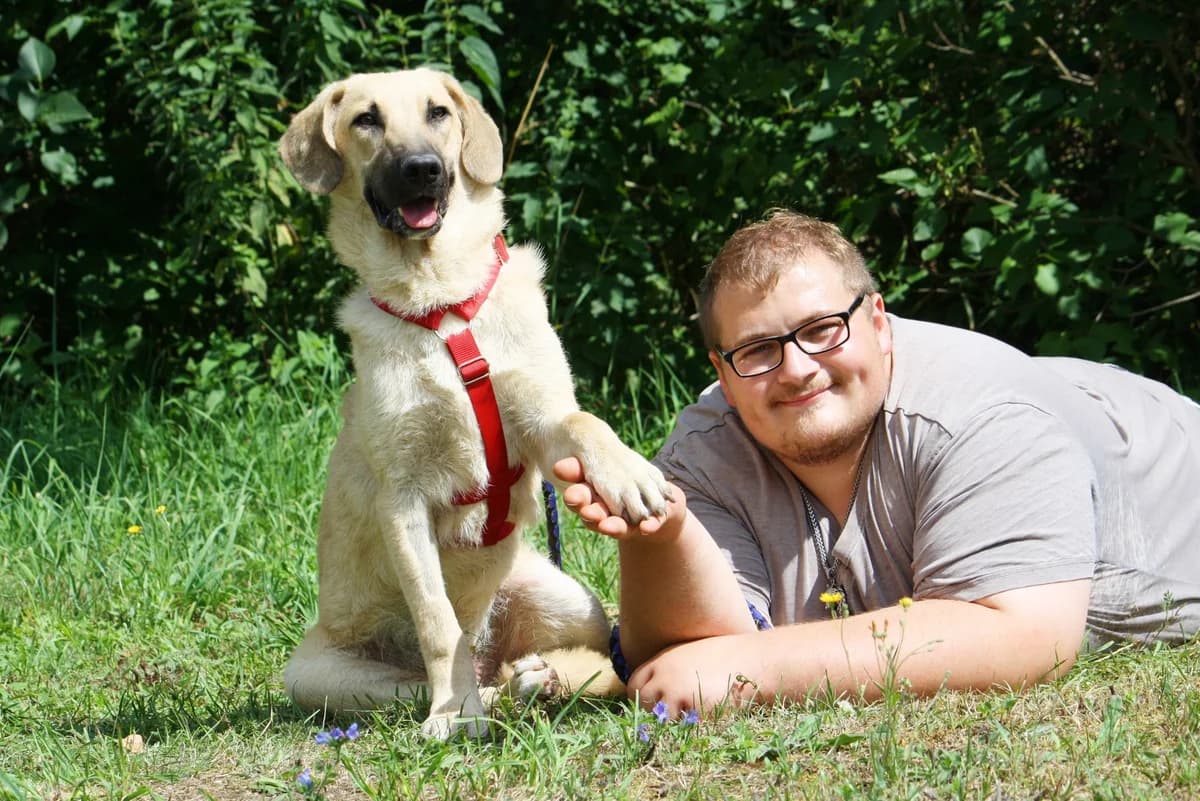 Teo, male Mixed Breed for adoption at Tierheim Herzsprung — photo 8 of 12