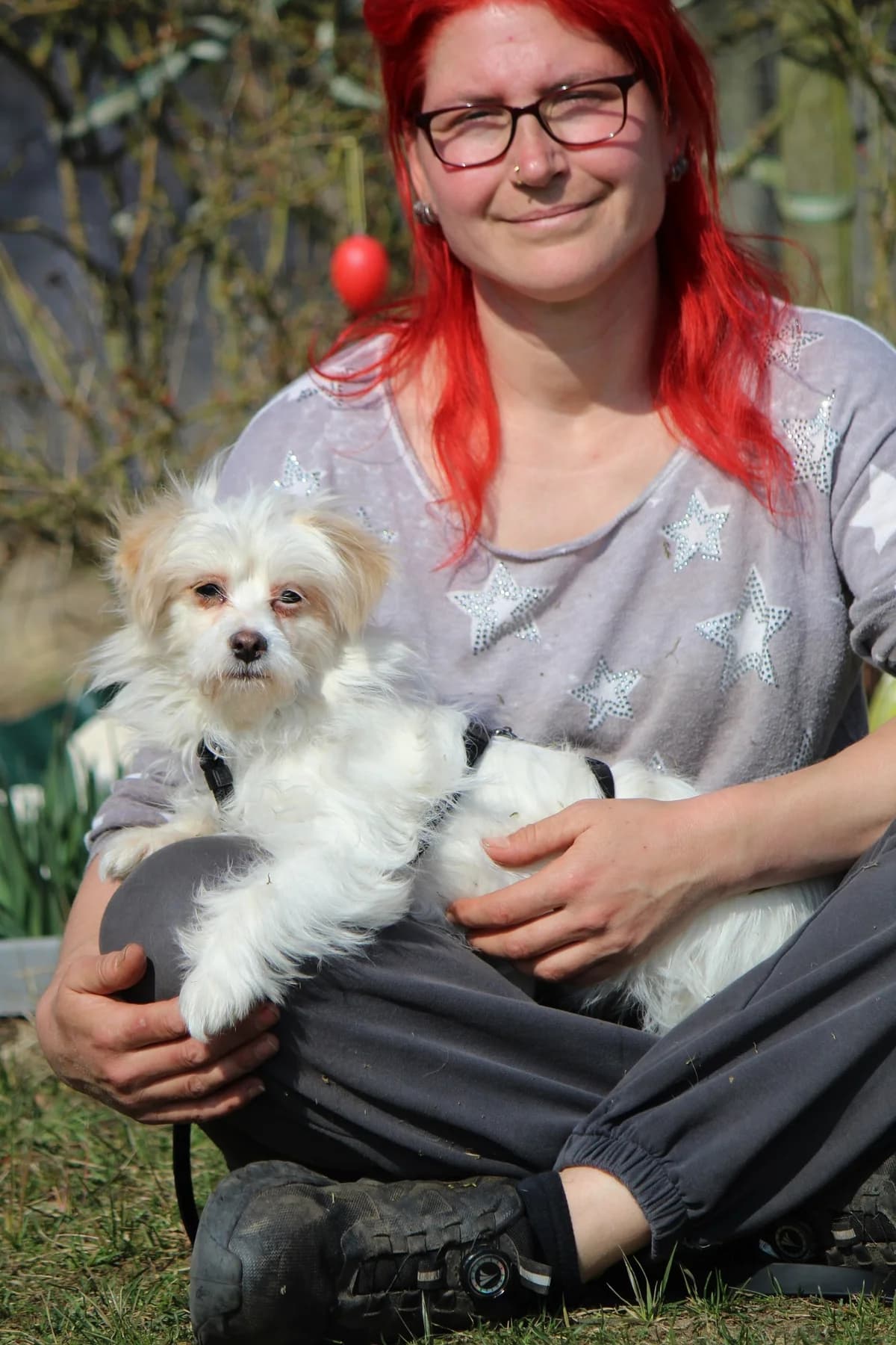 Tessa, female Mixed Breed for adoption at Tierheim Herzsprung