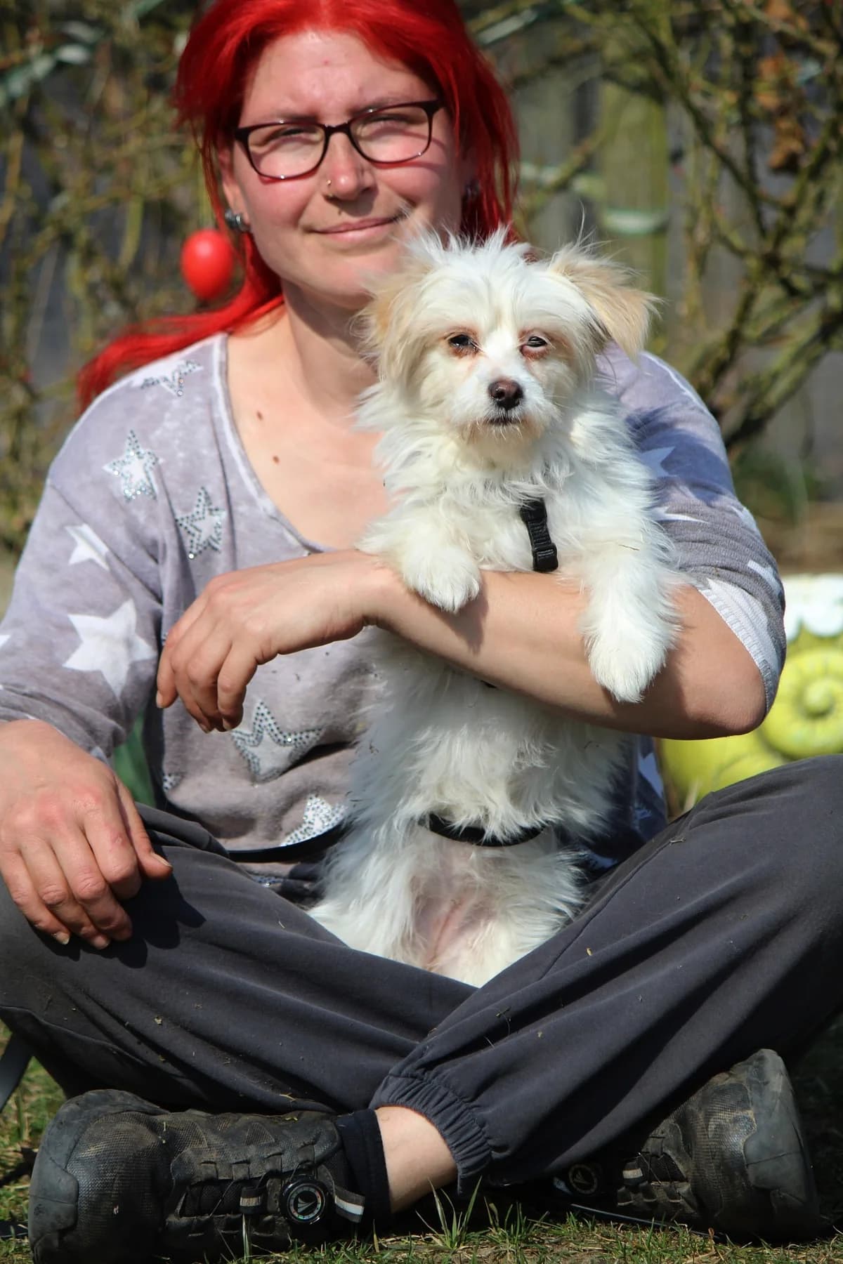 Tessa, female Mixed Breed for adoption at Tierheim Herzsprung — photo 4 of 12