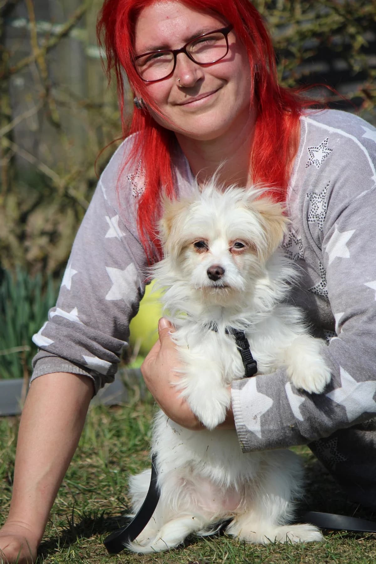 Tessa, female Mixed Breed for adoption at Tierheim Herzsprung — photo 5 of 12