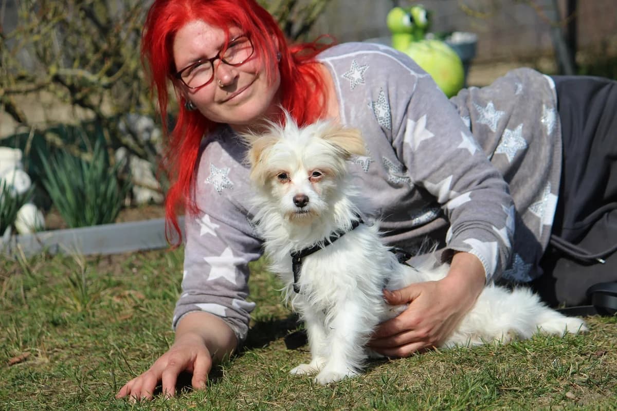 Tessa, female Mixed Breed for adoption at Tierheim Herzsprung — photo 6 of 12