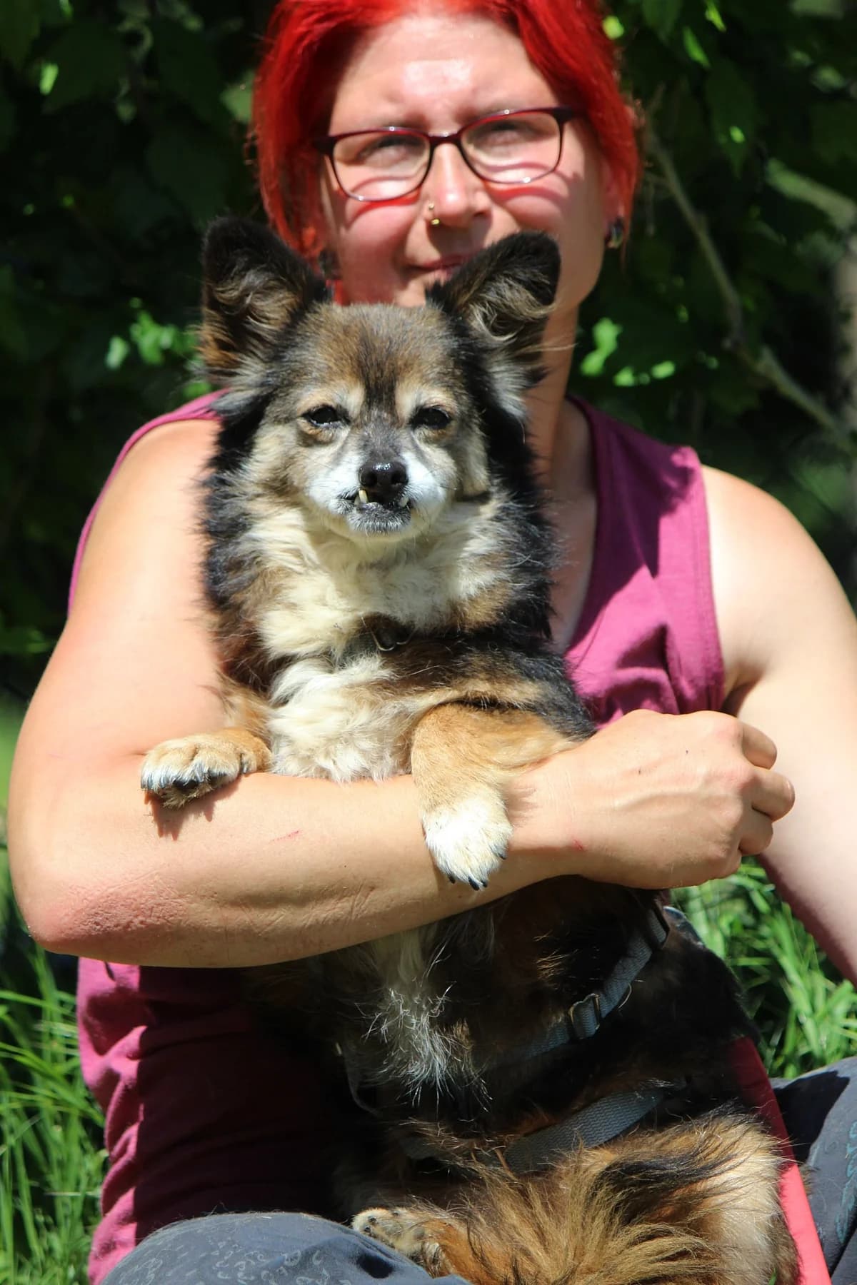 Trudi, female senior Mixed Breed for adoption at Tierheim Herzsprung
