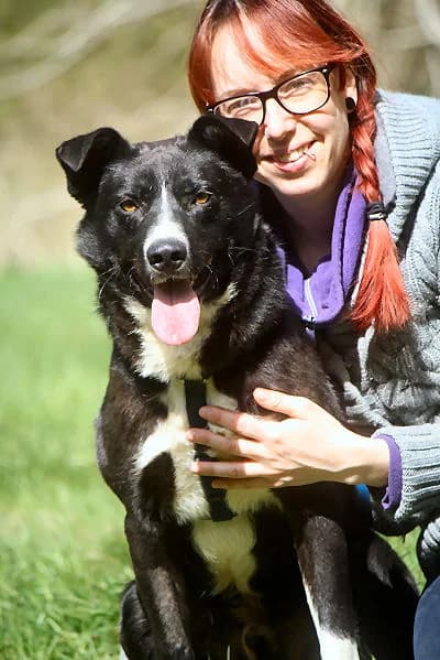 Tweed, male Mixed Breed for adoption at Tierheim Herzsprung