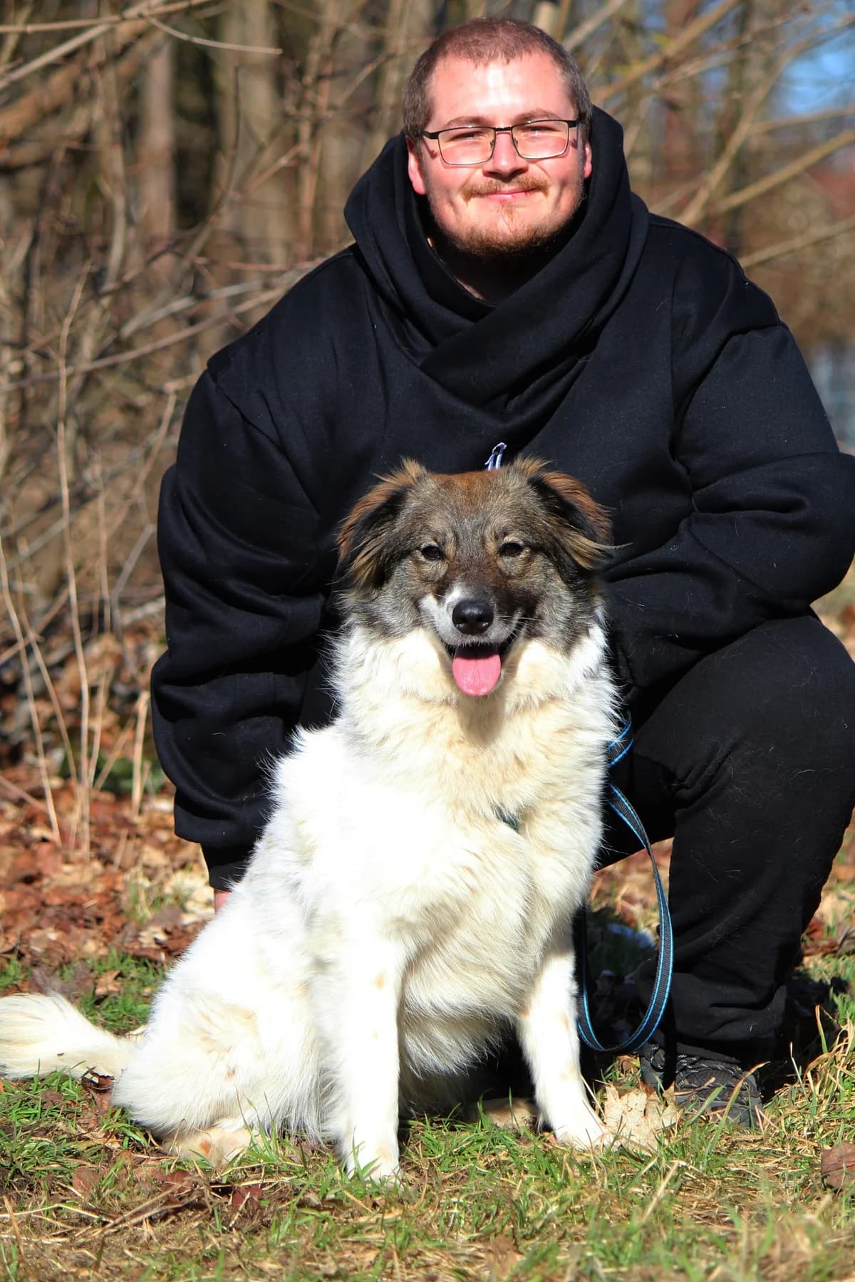 Yuna, female Mixed Breed for adoption at Tierheim Herzsprung