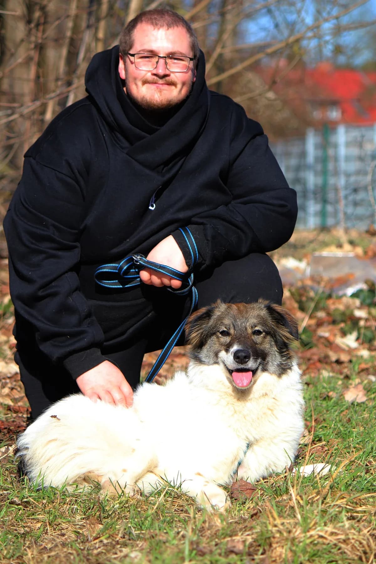 Yuna, female Mixed Breed for adoption at Tierheim Herzsprung — photo 3 of 10