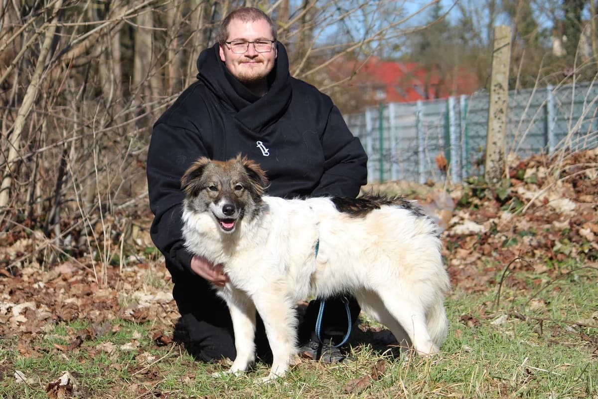 Yuna, female Mixed Breed for adoption at Tierheim Herzsprung — photo 7 of 10