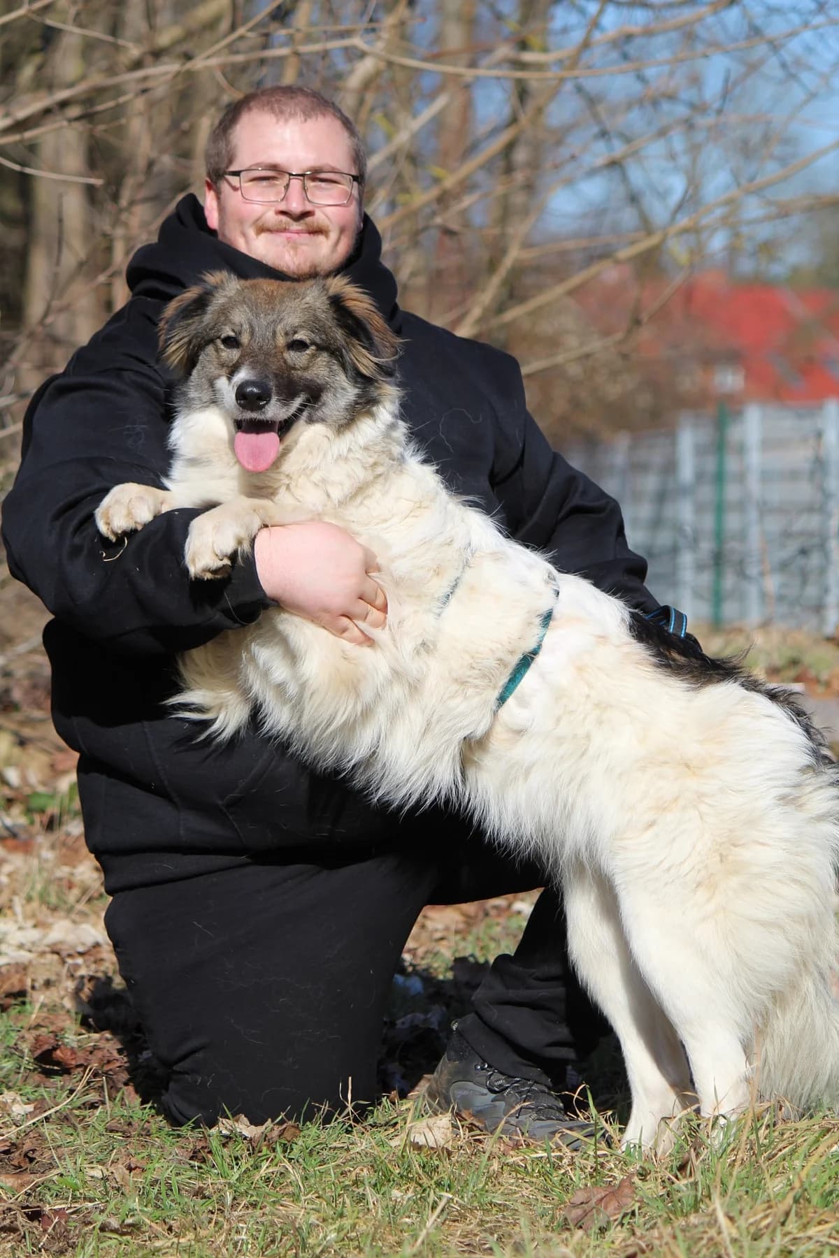 Yuna, female Mixed Breed for adoption at Tierheim Herzsprung — photo 8 of 10