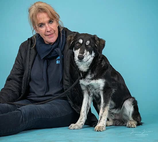 Mars,  Mixed Breed for adoption at Tierheim Koblenz, Koblenz