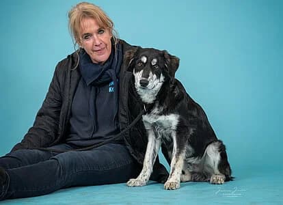 Mars,  Mixed Breed for adoption at Tierheim Koblenz, Koblenz — photo 4 of 4