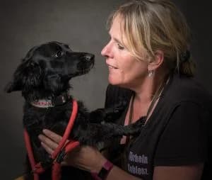 Bolle, male Dachshund for adoption at Tierheim Koblenz, Koblenz — photo 6 of 15