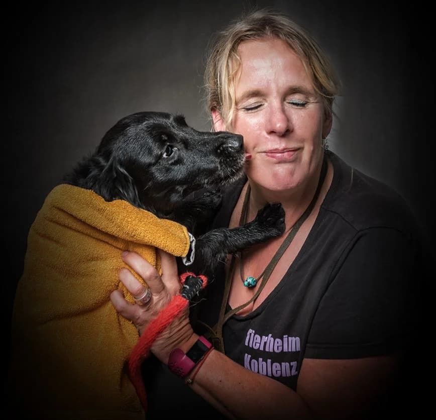 Bolle, male Dachshund for adoption at Tierheim Koblenz, Koblenz — photo 7 of 15