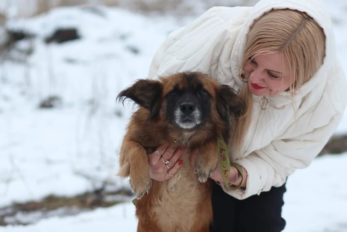 Potap, male Mixed Breed for adoption at Tierheim Korbach — photo 2 of 3