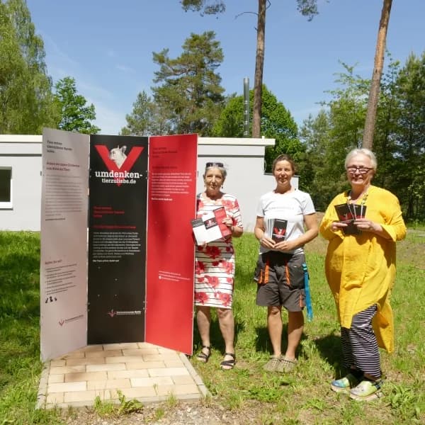 Umdenken – tierzuliebe, female Mixed Breed for adoption at Tierheim Potsdam, Potsdam