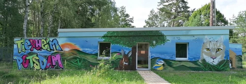 Fassadengestaltung, female Mixed Breed for adoption at Tierheim Potsdam, Potsdam