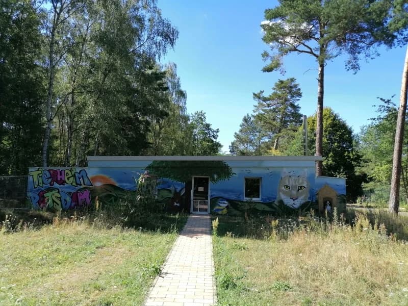 Haus 5,  Mixed Breed for adoption at Tierheim Potsdam, Potsdam