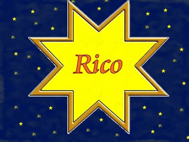 Rico, Mixed Breed (Tierheim Schkortitz)