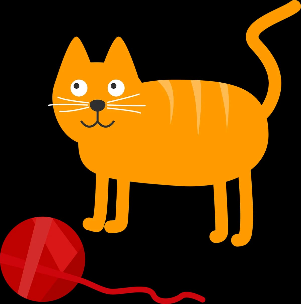 Alles für die Katze,  Mixed Breed for adoption at Tierheim Soest, Soest