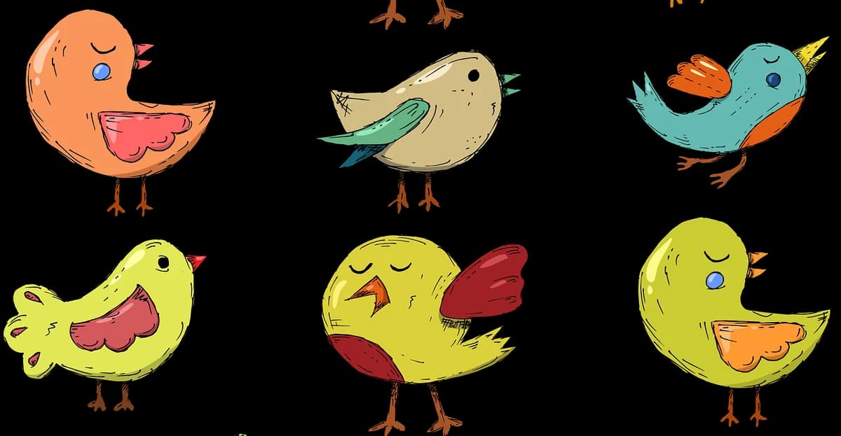 149 Wellensittiche abzugeben,  Mixed Breed for adoption at Tierheim Soest, Soest