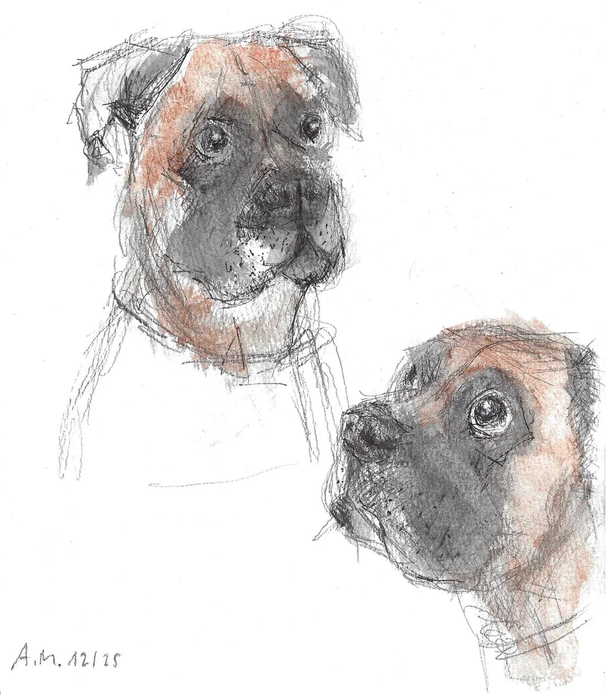 Frau Doktor, female Mixed Breed for adoption at Tierheim Trier, Trier — photo 3 of 3