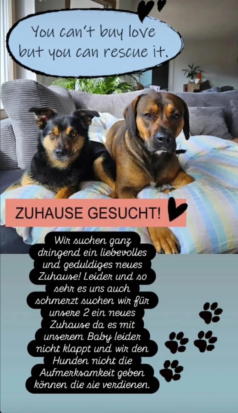 Rusty und Nakita Privatvermittlung, schwarz male 6yo Mixed Breed for adoption at Tierheim Vaihingen, Vaihingen an der Enz