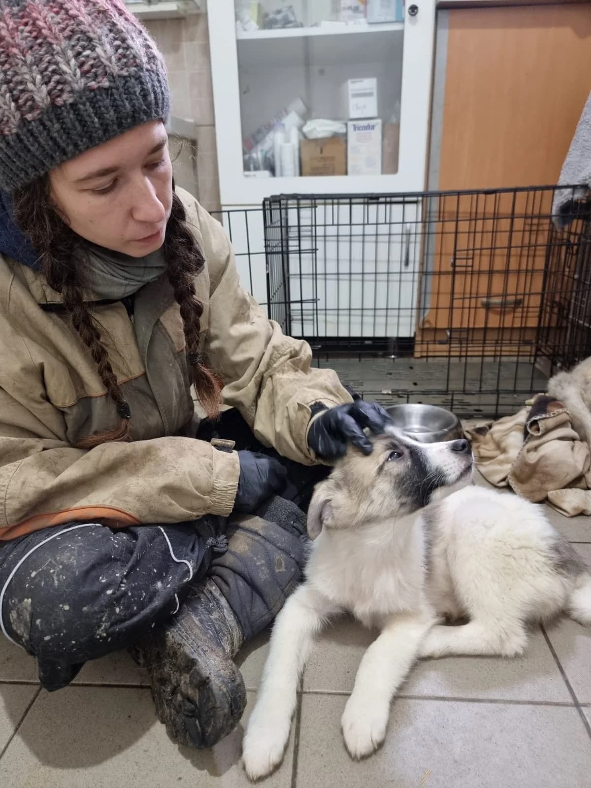 Hagrid, male Mixed Breed for adoption at Tierheimhelden — photo 2 of 3