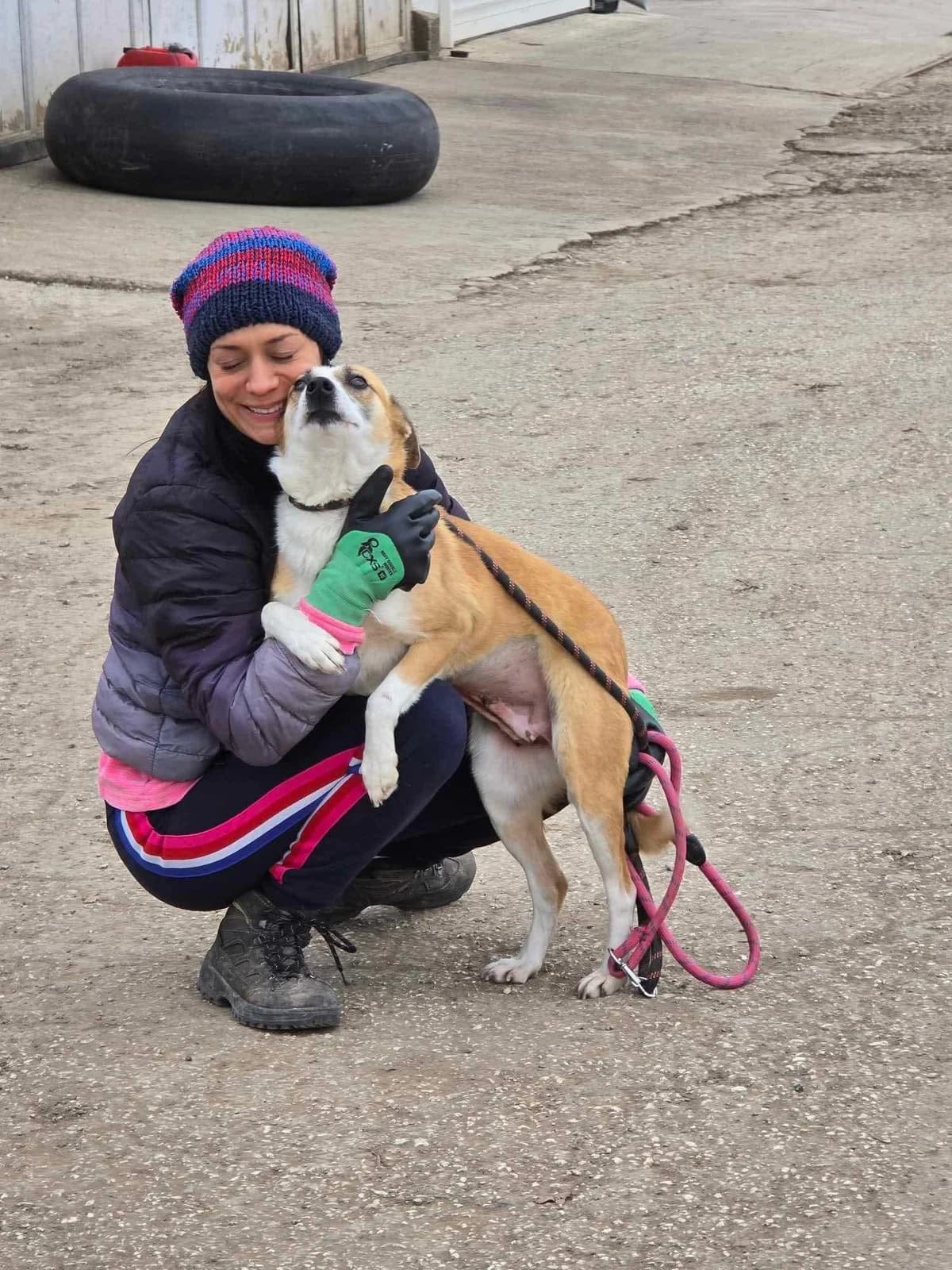 Darcy, female Mixed Breed for adoption at Tierheimhelden — photo 5 of 7