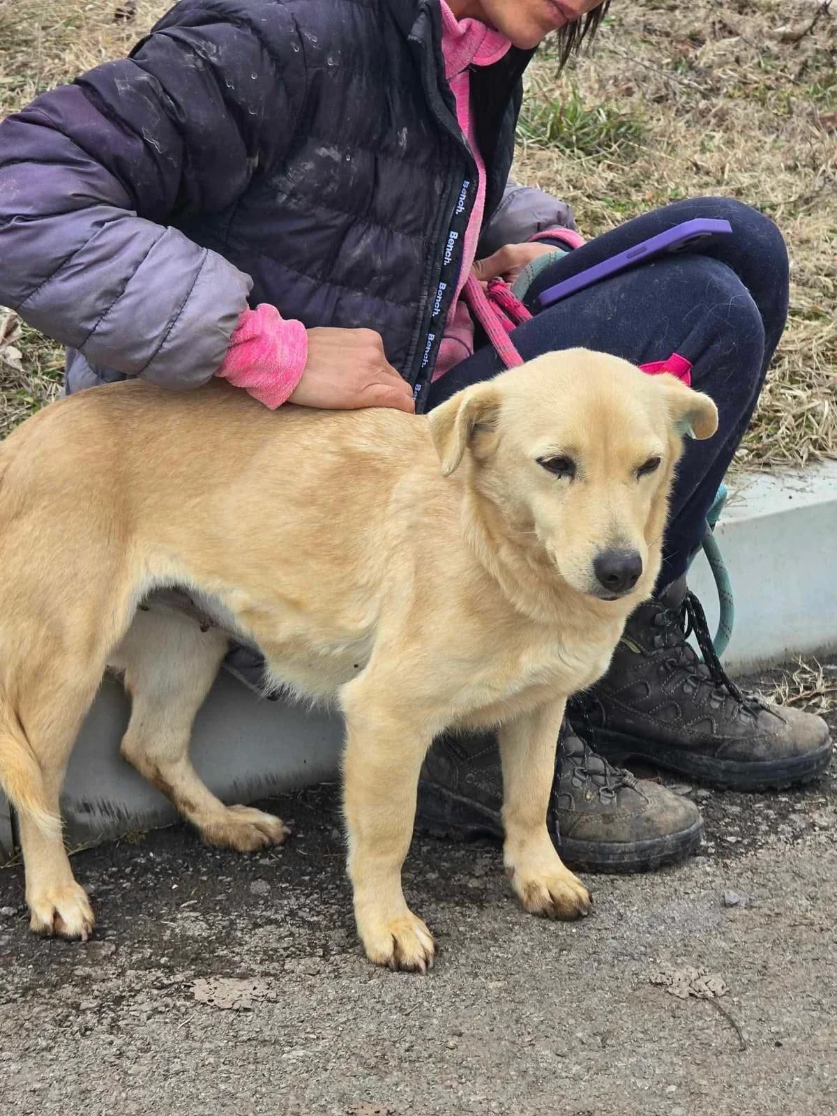 Lolita, female Mixed Breed for adoption at Tierheimhelden — photo 6 of 11