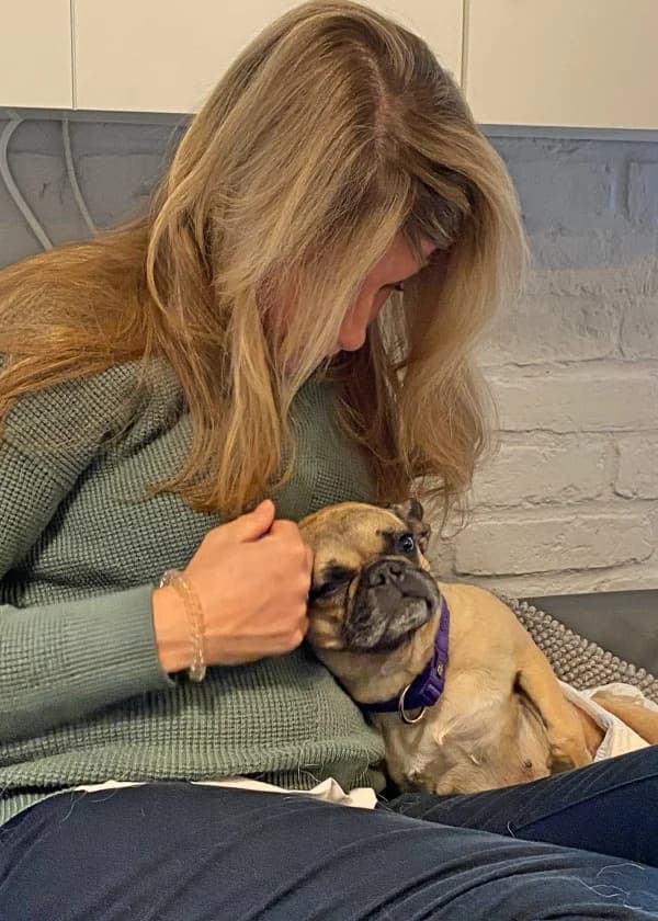 Sandy, female French Bulldog for adoption at Tierheimhelden — photo 4 of 7