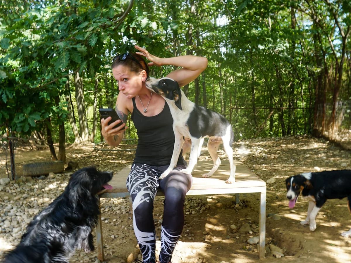 Aurelio, male Mixed Breed for adoption at Tierheimhelden — photo 5 of 13