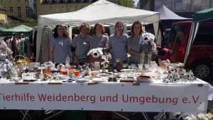 Bayreuther Flohmarkt, Mixed Breed for adoption at Tierhilfe Weidenberg