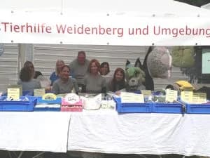 Tierheimfest Bayreuth,  Mixed Breed for adoption at Tierhilfe Weidenberg