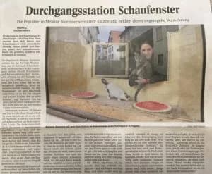 Durchgangsstation Schaufenster,  Mixed Breed for adoption at Tierhilfe Weidenberg