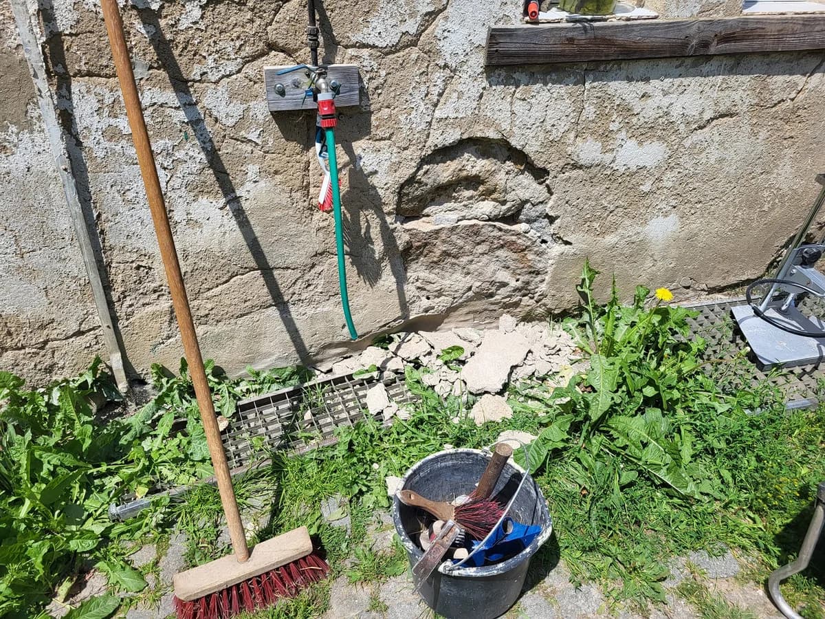 Tierheim Großröhrsdorf – der Putz bröckelt,  Mixed Breed for adoption at 4animals! e.V. Hundeauffangstation HASt, Essen