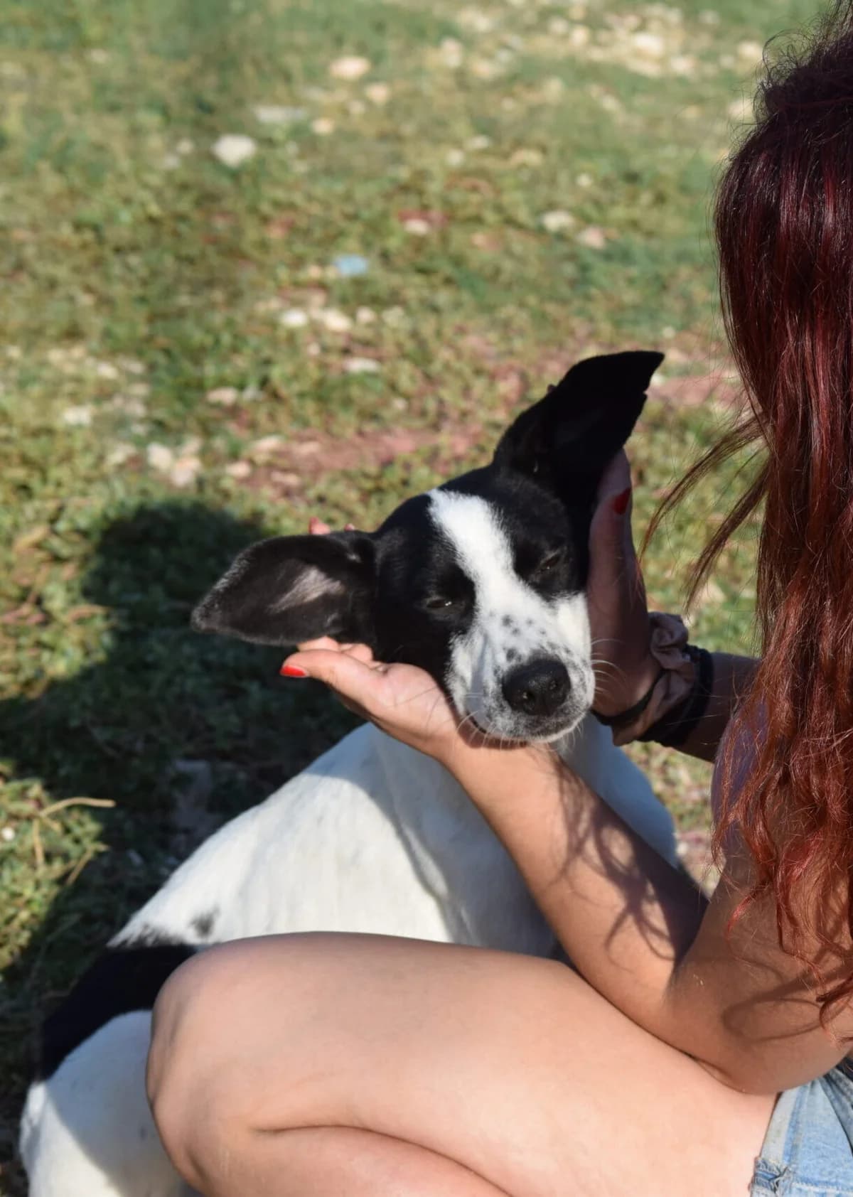 ANTIGONI, female 7yo Mixed Breed for adoption at Tierisch Grenzenlos e.V., Bamberg